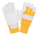 RĘKAWICE PROCERA X-SUPERIOR WINTER...